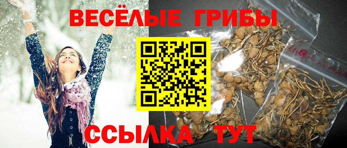 Краснокамск  Галлюциногенные грибы прущие грибы  Вход с VPN  Псилоцибиновые грибы прущие грибы 